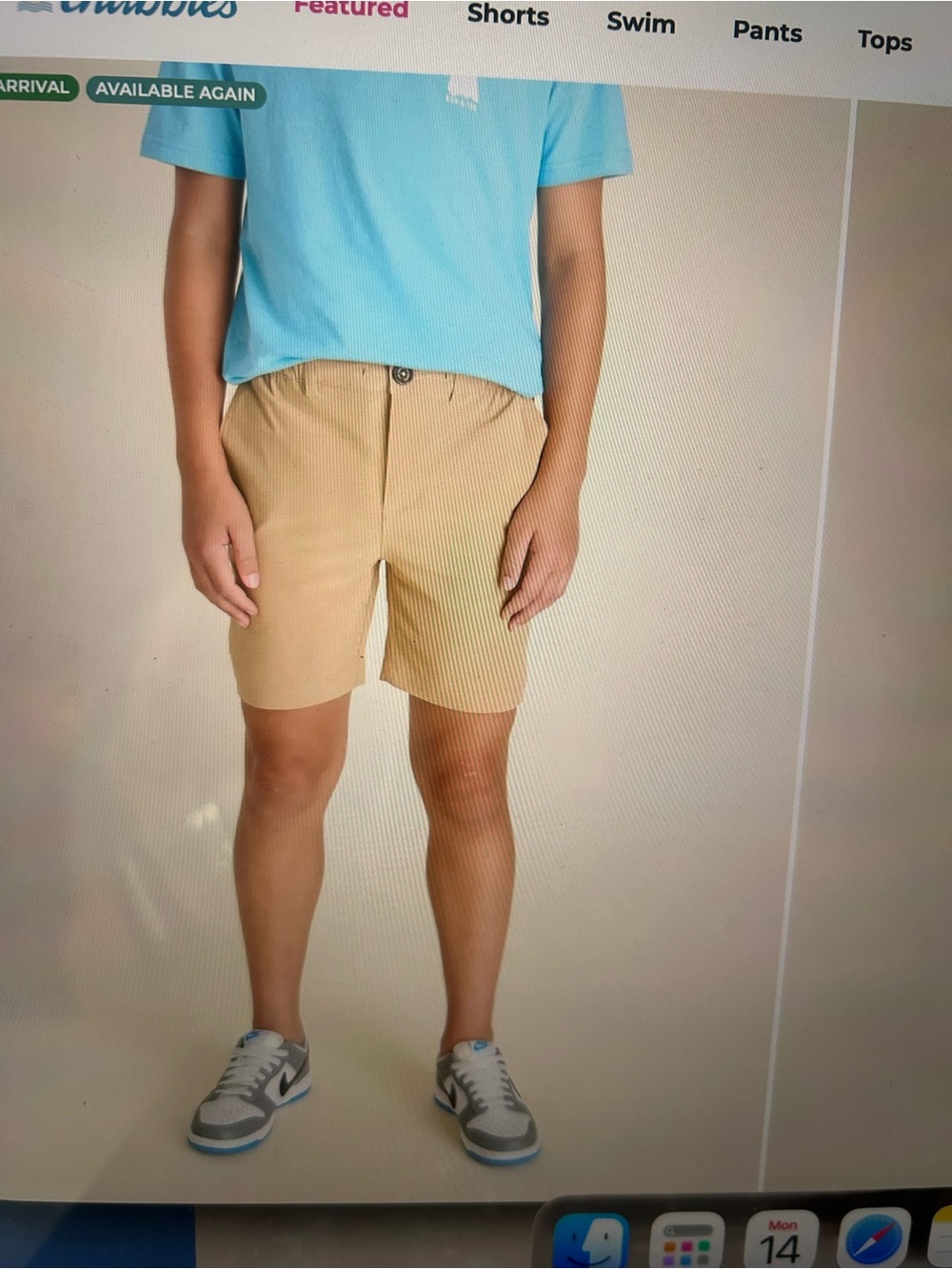 Boys Chubbies Shorts - Navy, Khaki, Light Gray - Picture 6 of 7